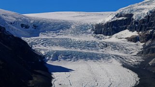Athabasca Glacier - Wilcox Pass Trail - Parc National de Jasper Canada 2023